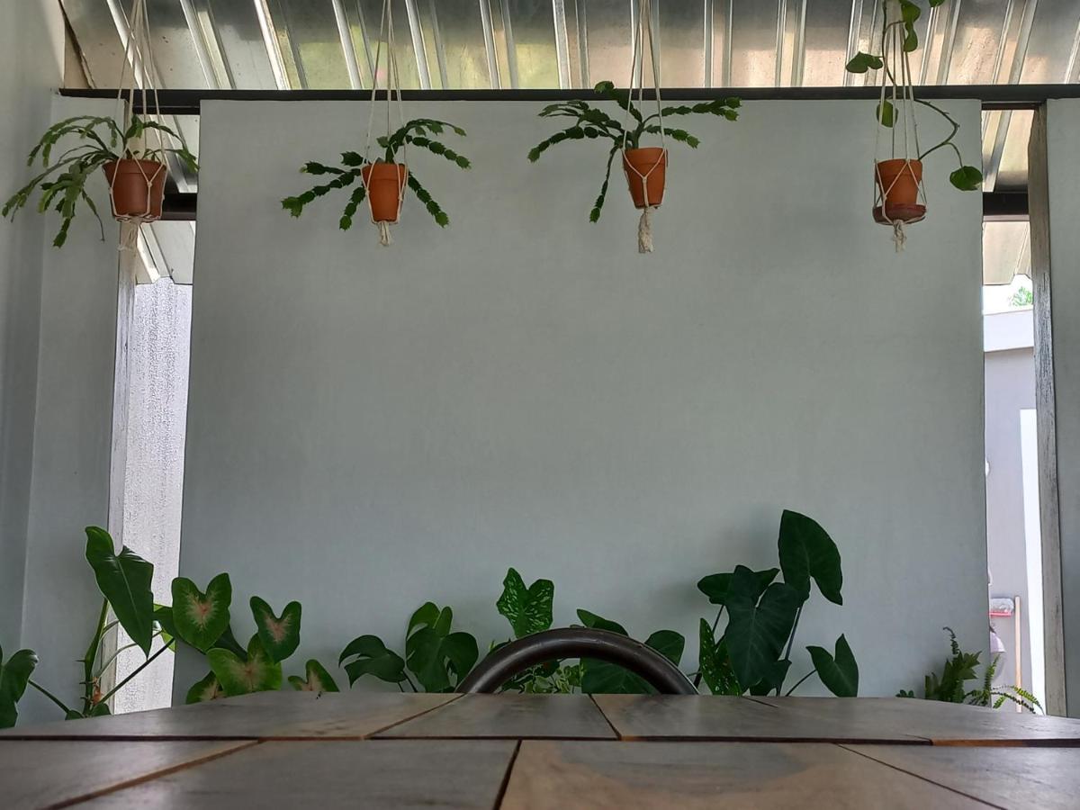 Urban Farm Haus Guesthouse Rundu Zewnętrze zdjęcie