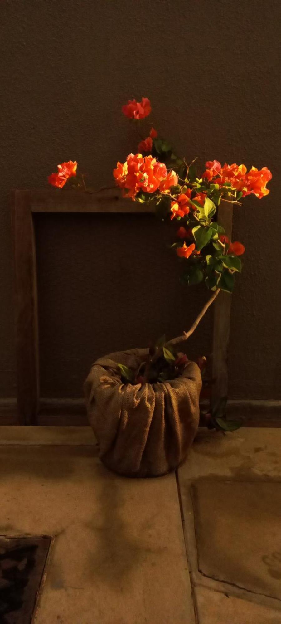 Urban Farm Haus Guesthouse Rundu Zewnętrze zdjęcie